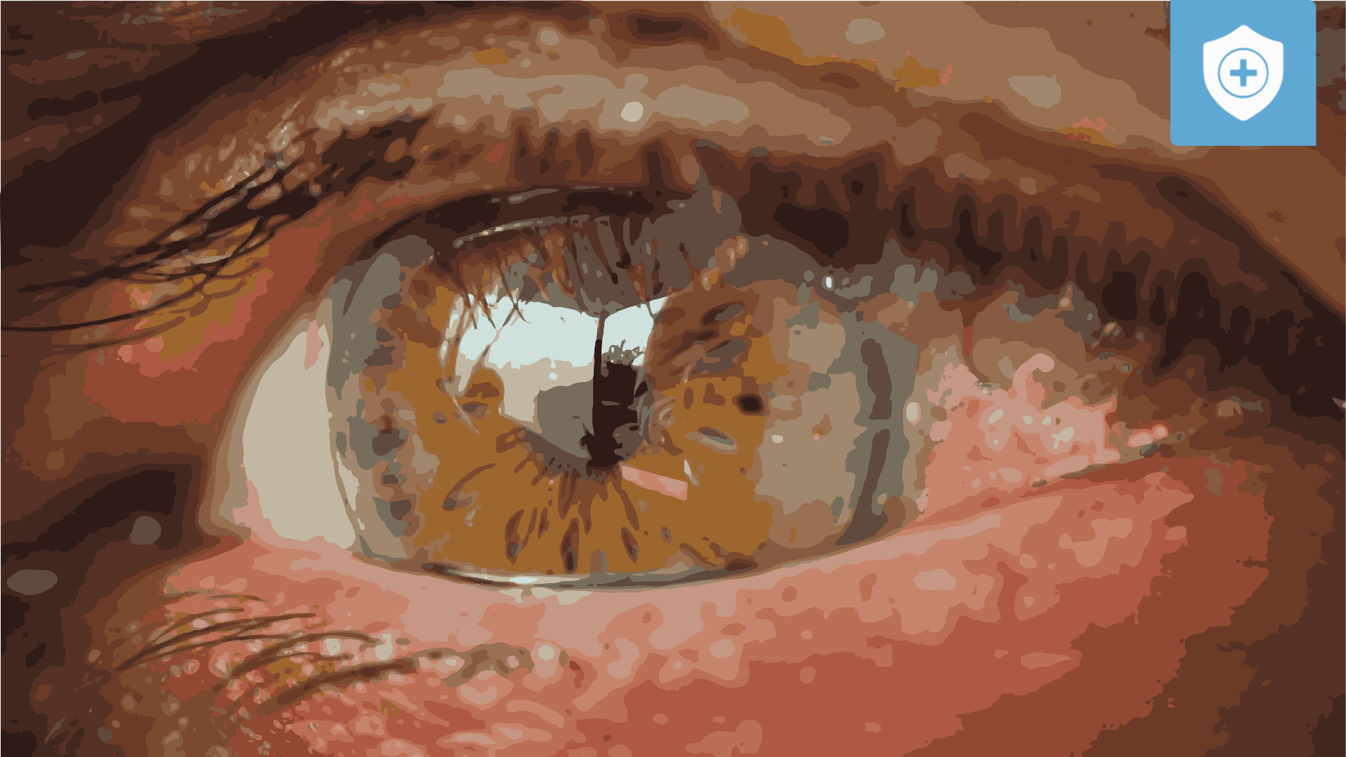 A Silent Emergency: Understanding Mental Health in Southeast Asia